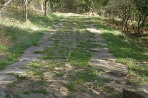 calzada-medieval-4