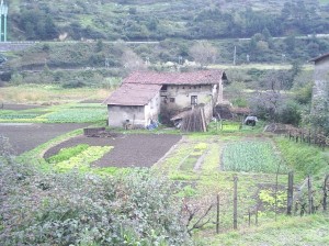 zubileta-1