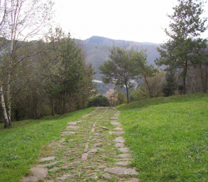 calzada-medieval-2