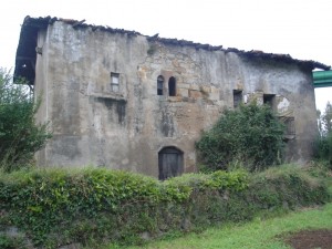 zubileta-7