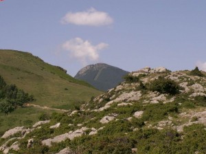 Eretza