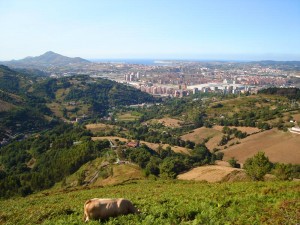 Entorno (1)