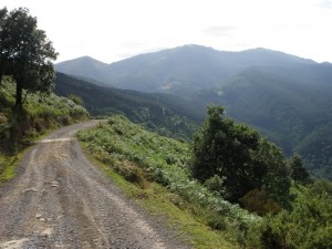Entorno (4)
